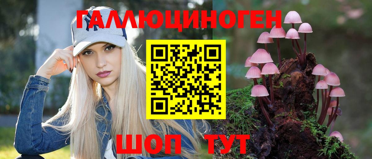 Галлюциногенные грибы Psilocybe  Вход с VPN  Миллерово  Псилоцибиновые грибы GOLDEN TEACHER 