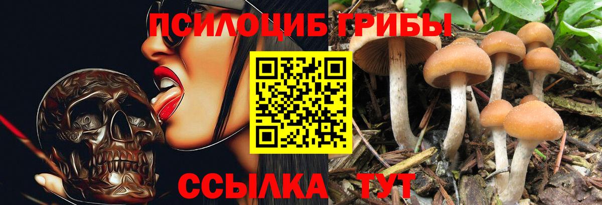 Галлюциногенные грибы прущие грибы Миллерово